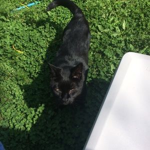 Meet your Posher, Shannon